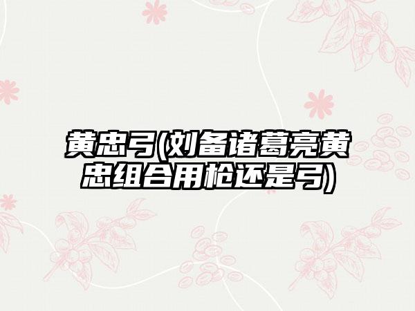 黄忠弓(刘备诸葛亮黄忠组合用枪还是弓)