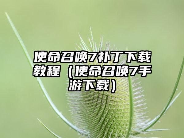使命召唤7补丁教程（使命召唤7手游）