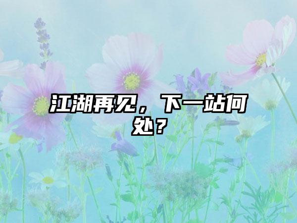 江湖再见，下一站何处？