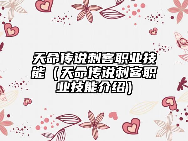 天命传说刺客职业技能（天命传说刺客职业技能介绍）