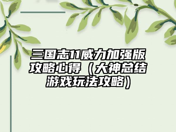 三国志11威力加强版攻略心得（大神总结游戏玩法攻略）