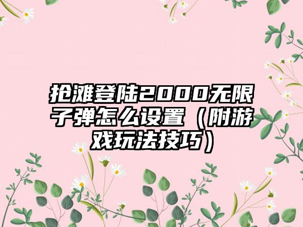 抢滩登陆2000无限子弹怎么设置（附游戏玩法技巧）