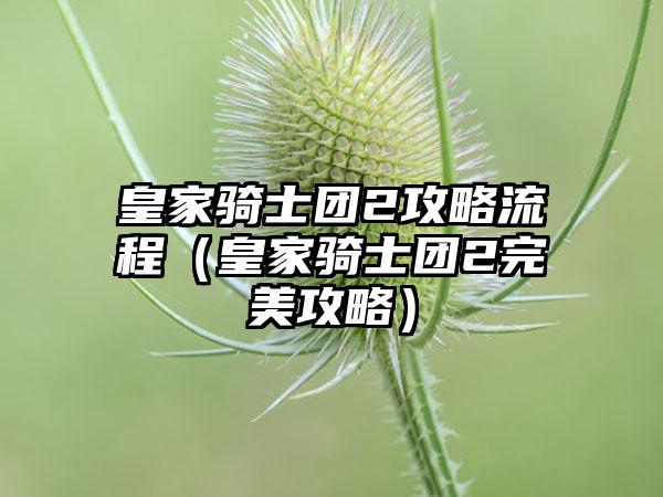 皇家骑士团2攻略流程（皇家骑士团2完美攻略）