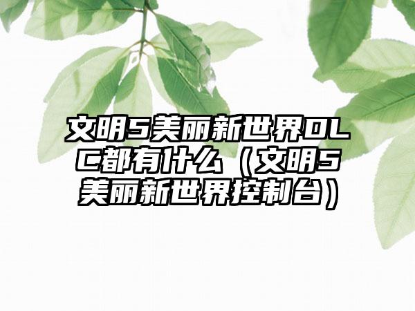 文明5美丽新世界DLC都有什么（文明5美丽新世界控制台）