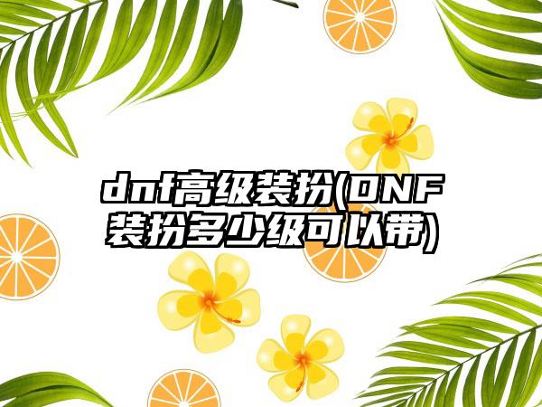 dnf高级装扮(DNF装扮多少级可以带)