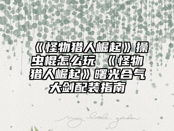 《怪物猎人崛起》操虫棍怎么玩 《怪物猎人崛起》曙光合气大剑配装指南