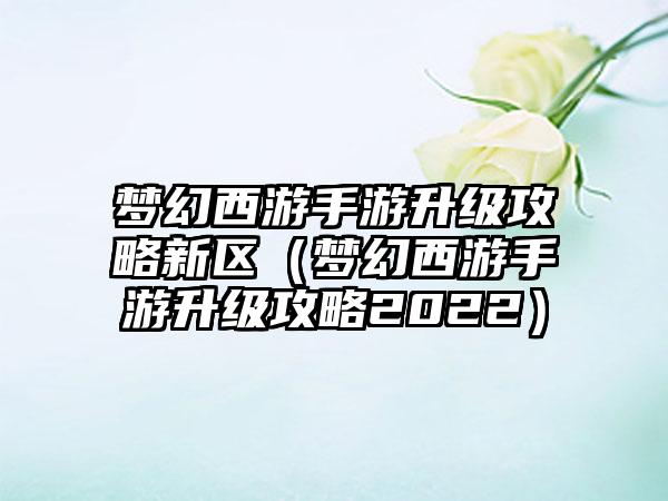 梦幻西游手游升级攻略新区（梦幻西游手游升级攻略2022）
