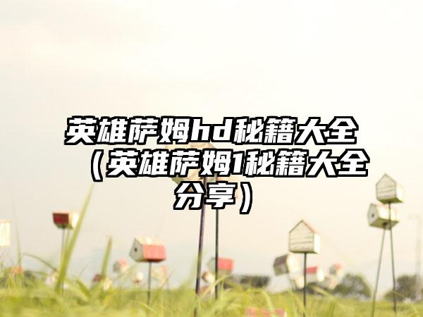 英雄萨姆hd秘籍大全（英雄萨姆1秘籍大全分享）