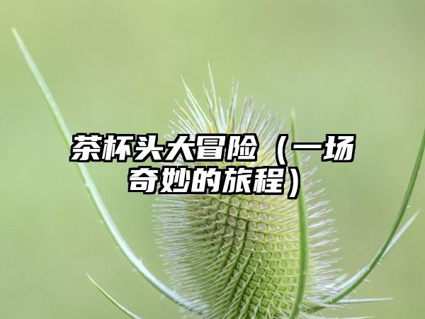 茶杯头大冒险（一场奇妙的旅程）