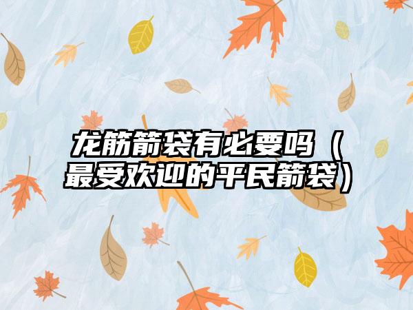 龙筋箭袋有必要吗（最受欢迎的平民箭袋）