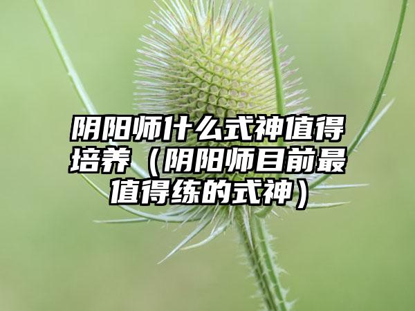 阴阳师什么式神值得培养（阴阳师目前最值得练的式神）