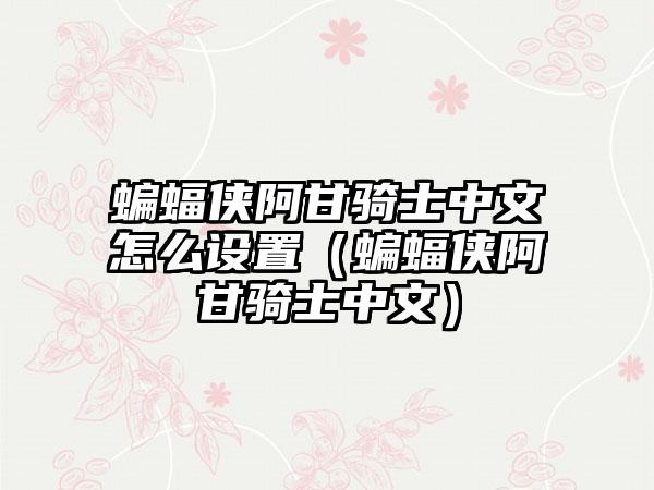 蝙蝠侠阿甘骑士中文怎么设置（蝙蝠侠阿甘骑士中文）