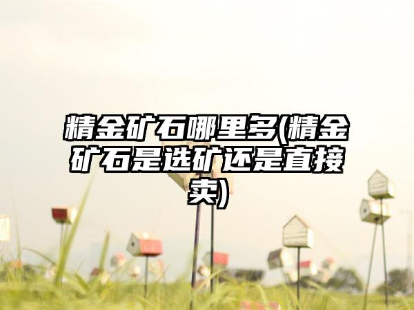 精金矿石哪里多(精金矿石是选矿还是直接卖)