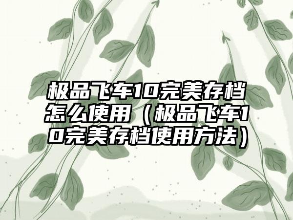 极品飞车10完美存档怎么使用（极品飞车10完美存档使用方法）