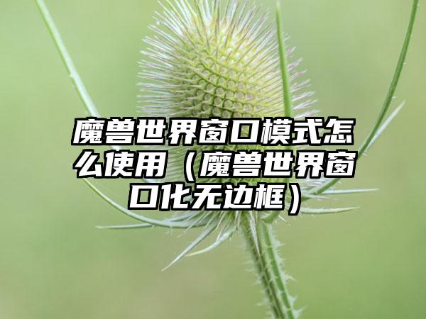 魔兽世界窗口模式怎么使用（魔兽世界窗口化无边框）