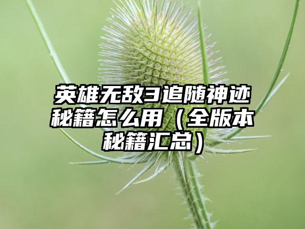 英雄无敌3追随神迹秘籍怎么用（全版本秘籍汇总）