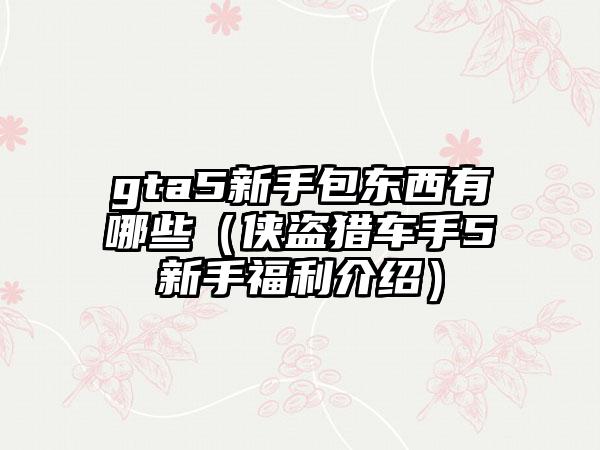 gta5新手包东西有哪些（侠盗猎车手5新手福利介绍）