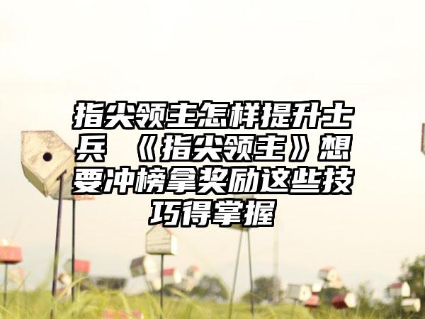 指尖领主怎样提升士兵 《指尖领主》想要冲榜拿奖励这些技巧得掌握