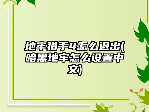 地牢猎手4怎么退出(暗黑地牢怎么设置中文)