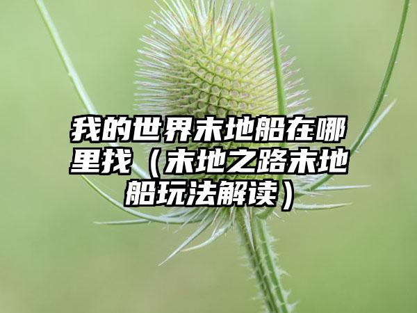 我的世界末地船在哪里找（末地之路末地船玩法解读）