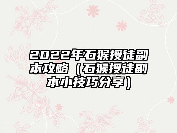 2022年石猴授徒副本攻略（石猴授徒副本小技巧分享）