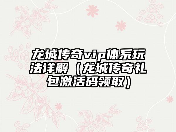 龙城传奇vip体系玩法详解（龙城传奇礼包激活码领取）