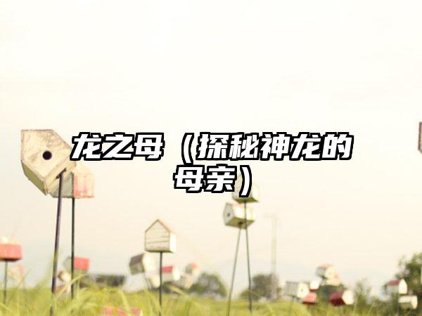 龙之母（探秘神龙的母亲）