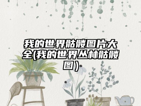 我的世界骷髅图片大全(我的世界丛林骷髅图）