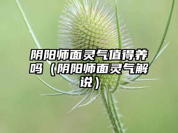阴阳师面灵气值得养吗（阴阳师面灵气解说）