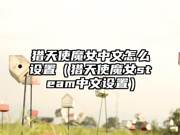 猎天使魔女中文怎么设置（猎天使魔女steam中文设置）