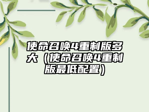 使命召唤4重制版多大（使命召唤4重制版最低配置）