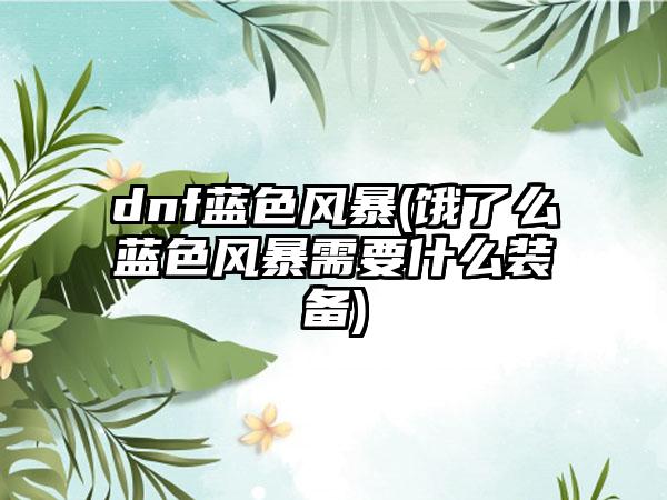 dnf蓝色风暴(饿了么蓝色风暴需要什么装备)