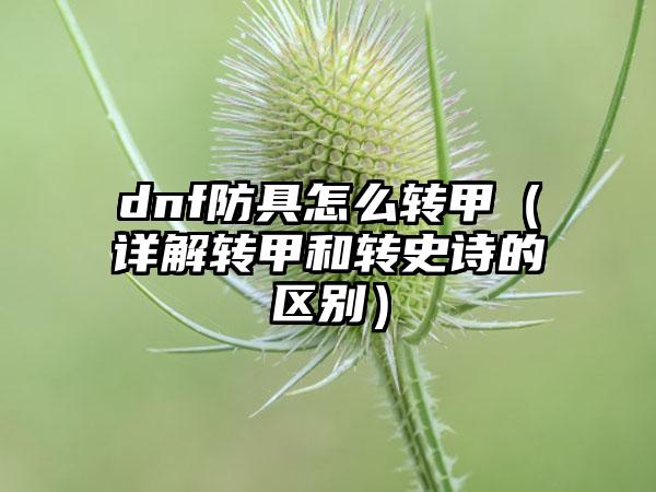 dnf防具怎么转甲（详解转甲和转史诗的区别）