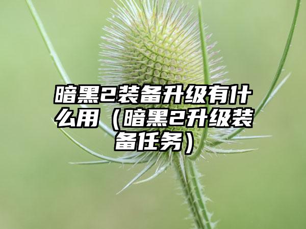 暗黑2装备升级有什么用（暗黑2升级装备任务）