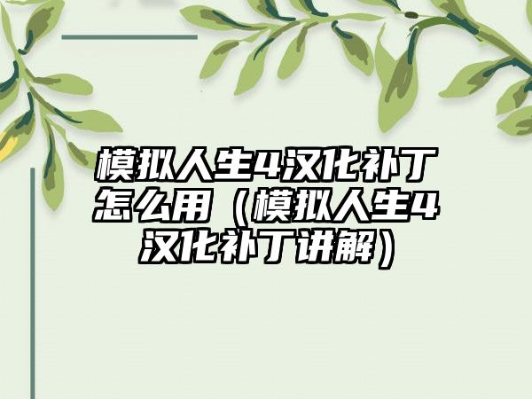 模拟人生4汉化补丁怎么用（模拟人生4汉化补丁讲解）