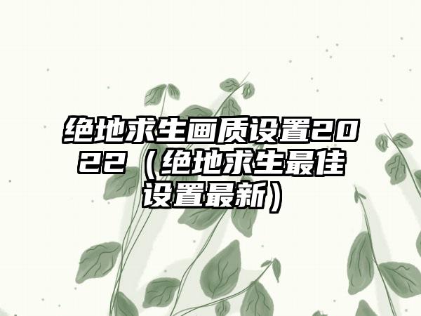 绝地求生画质设置2022（绝地求生最佳设置最新）