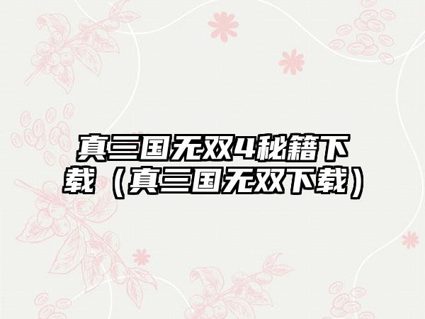 真三国无双4秘籍（真三国无双）