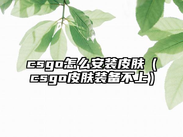 csgo怎么安装皮肤（csgo皮肤装备不上）