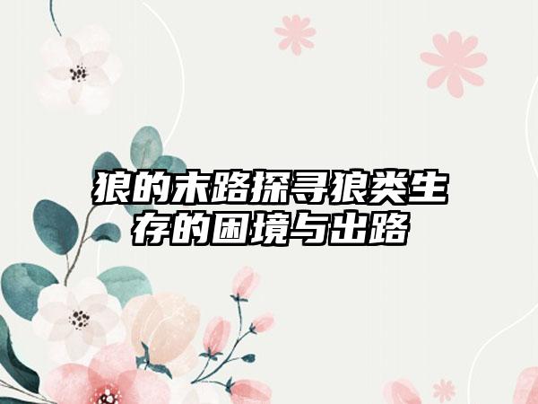 狼的末路探寻狼类生存的困境与出路