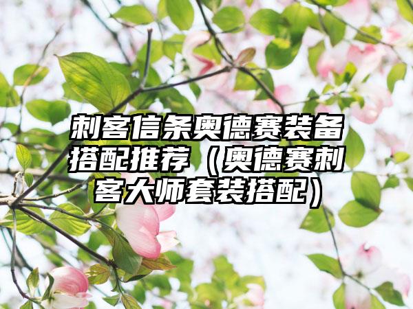 刺客信条奥德赛装备搭配推荐（奥德赛刺客大师套装搭配）