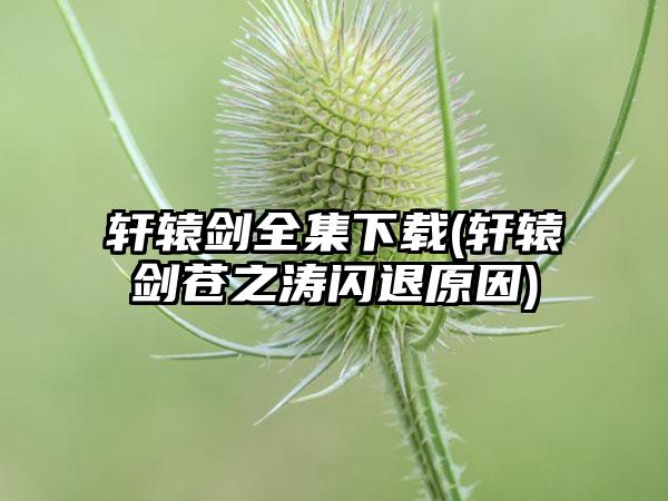 轩辕剑全集(轩辕剑苍之涛闪退原因)