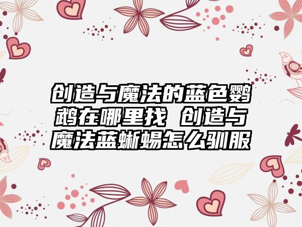 创造与魔法的蓝色鹦鹉在哪里找 创造与魔法蓝蜥蜴怎么驯服