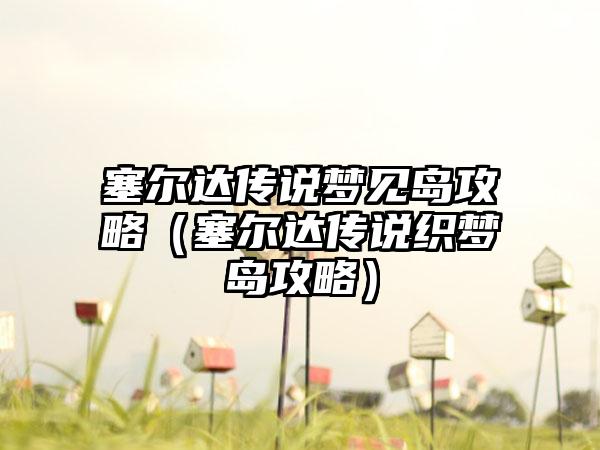 塞尔达传说梦见岛攻略（塞尔达传说织梦岛攻略）