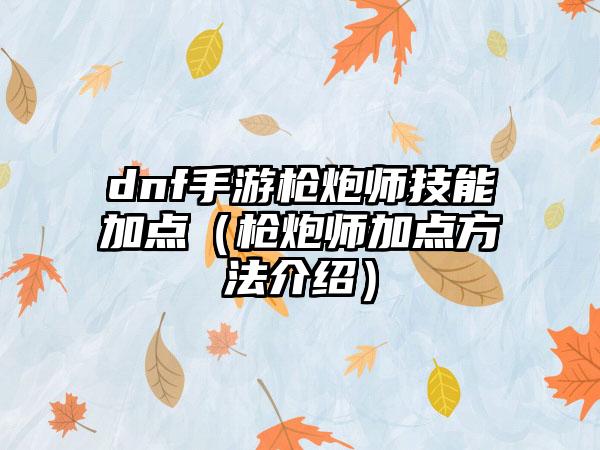 dnf手游枪炮师技能加点（枪炮师加点方法介绍）