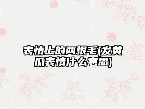 表情上的两根毛(发黄瓜表情什么意思)