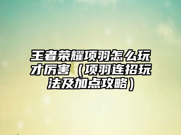 王者荣耀项羽怎么玩才厉害（项羽连招玩法及加点攻略）