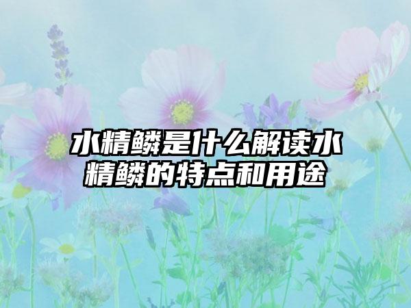 水精鳞是什么解读水精鳞的特点和用途