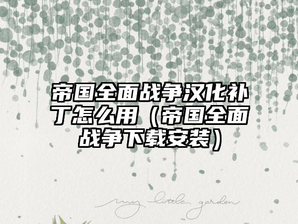 帝国全面战争汉化补丁怎么用（帝国全面战争安装）