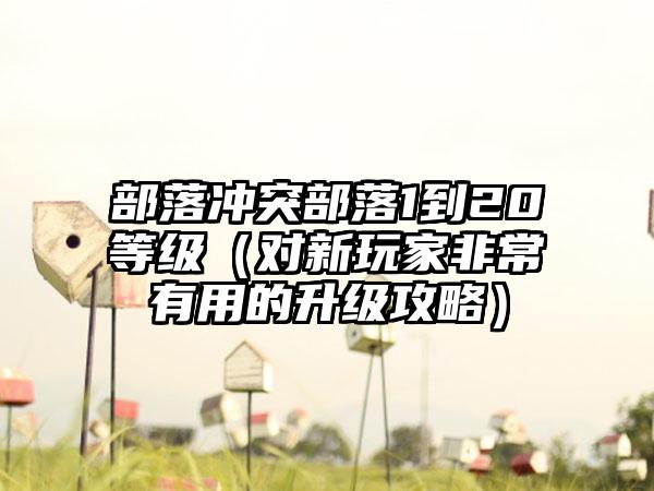 部落冲突部落1到20等级（对新玩家非常有用的升级攻略）