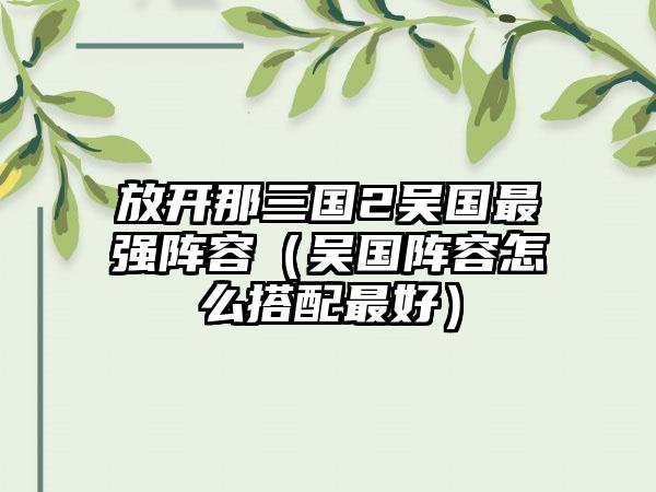 放开那三国2吴国最强阵容（吴国阵容怎么搭配最好）